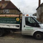 Tree Surgeons Wokingham