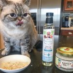 Coconut Oil For Cats