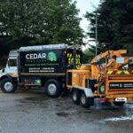 Tree Surgeons In Clacton